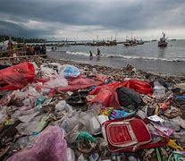 Limbah Lunak Organik Yang Dihasilkan Dari Daerah Pesisir Pantai Adalah